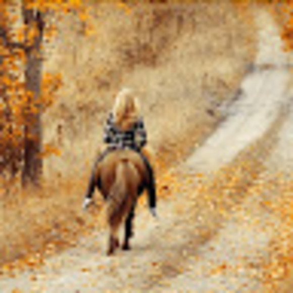 Meet your Posher, Ksena - Picture 1 of 1